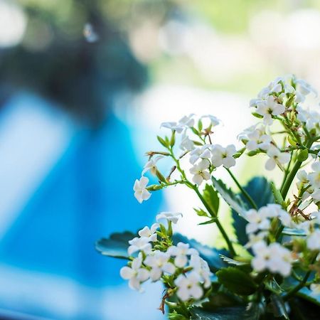 Apartment Huita 볼차노 외부 사진